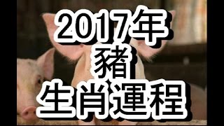 2017年屬豬人的運勢