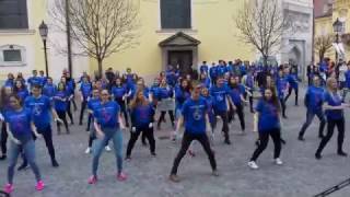 Egy szabad országért-Székesfehérvári AJTP flashmob