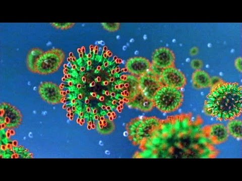 Killer Bug - SARS Coronavirus Killer Bug - SARS Coronavirus
