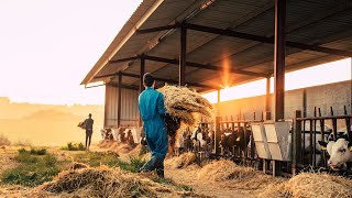 Research reveals 80 per cent of NSW farmers were targeted by criminals