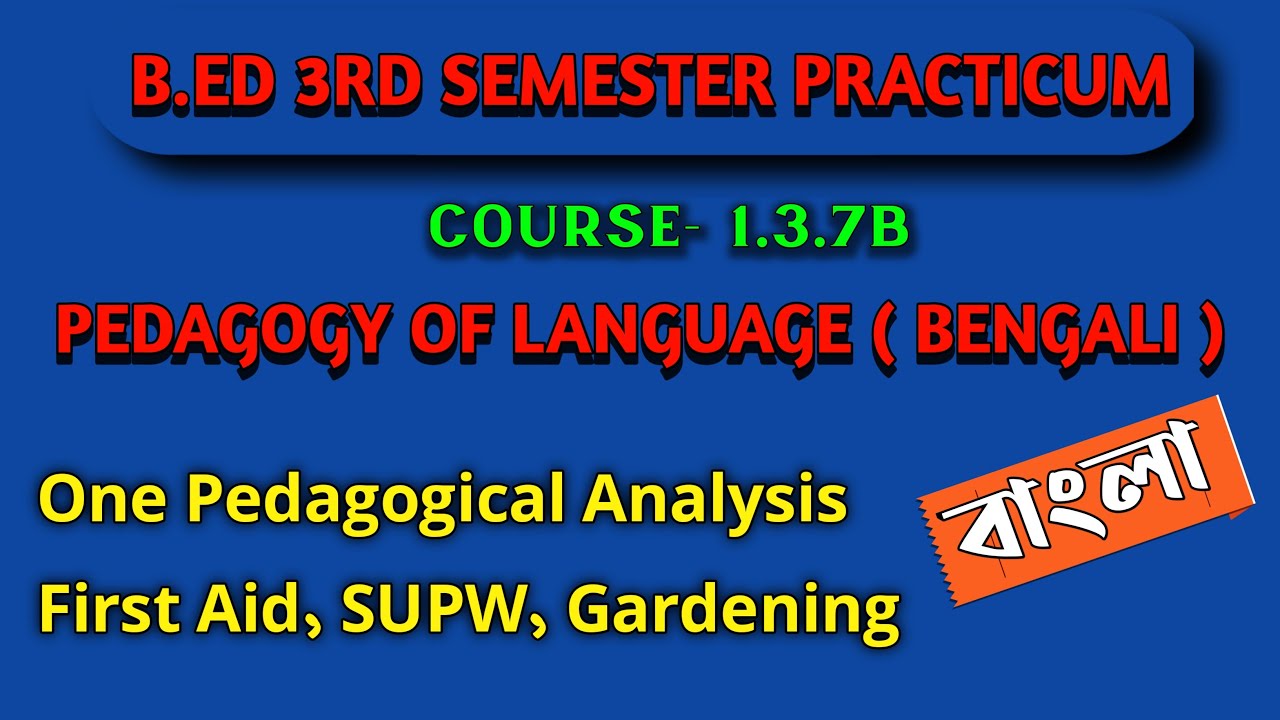 B Ed 3rd Semester Community Based Activity B Ed 3rd Semester School