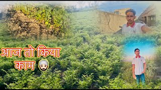 आज निकाली चनों में दूसरी बार खोदी🧑‍🌾 @Rakshitkaswanvlogs