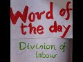 #divisionoflabour #biologyshorts #biologyvocabulary