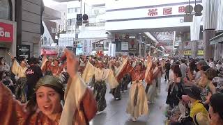 【高知よさこい】 　『YAMAKIN EVA連』　本祭一日目（第71回よさこい祭り　2024.8.10）