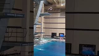 2022  Mizzou Zones Platform Dive 6