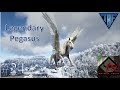 Legendary Pegasus!  E24 Primal Fear Island - TBF Primal- Ark Survival Evolved