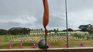 CNHS Intrams - Grade 12 Field demonstration