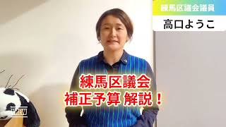 【練馬区議会】2024年9月の補正予算 解説！【練馬区議会議員・高口ようこ】