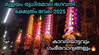 മുളയം രുധിരമാല ദേവി ക്ഷേത്രം വേല 2025 🧡 Mulayam Rudhiramala Vela🔥 കാവടിയാട്ടം 👌🏻വാദ്യകളും💞#trending