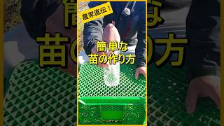 【サツマイモ】ペットボトルで簡単！苗作り【有機農家直伝！無農薬で育てる家庭菜園】　24/2/20　#shorts