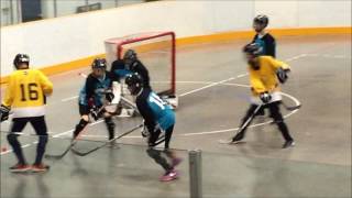 2016 Ball Hockey Provincials Richmond Major Vs Surrey Major (2-1 Richmond)