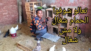 تعالوا شوفوا ردى عليكو صوت وصوره بعد مااتهمتونى انى بابيع حمام مش شغال حسبى الله ونعم الوكيل