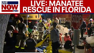 FULL RESCUE: Manatee rescue from storm drain near Orlando