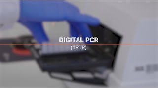 Digital PCR (dPCR)