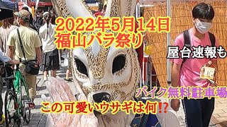 2022年5月14日福山バラ祭り