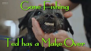 Gone Fishing : Ted Gets a Make Over with Bob Mortimer and Paul Whitehouse