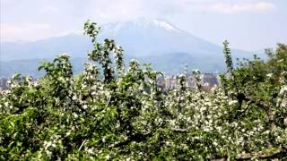 「鶴の舞橋」　大山崎の遊び人　カラオケ１８番－６