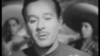 Pedro Infante- Amor de mis Amores