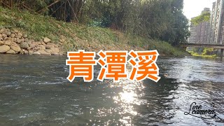 Creek fishing in Taiwan 我也搞不懂為什麼青潭溪出水就有魚梅水就沒魚