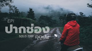 เที่ยวคนเดียว ปากช่อง ดินแดนมหัศจรรย์ทางใต้ของลาวในฤดูฝน | Solo trip to Paksong Bolaven Plateau