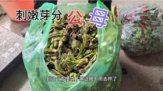 山村风情：热爱边境山村，记录自然文化之美 39