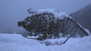 Schneesituation Fischhausen Neuhaus Schliersee Landkreis Miesbach