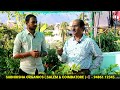 terrace garden maadi thottam மாடித்தோட்டம் அமைப்பது எப்படி