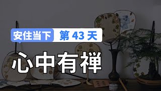 【安住当下DAY43】让心静中有禅，让心悟里有感｜10分钟冥想引导