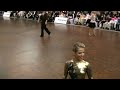 ccc 2016 adult latin final