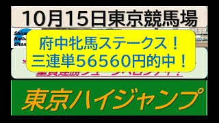 【競馬予想】JGⅡ東京ハイジャンプ！～２０２３年１０月１５日 東京競馬場 ：１０－２７