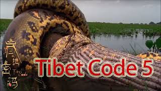 Tibet Code 5