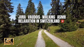 Jura Vaudois Walking ASMR Relaxation in Switzerland 🇨🇭