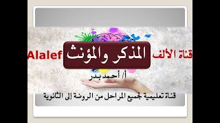 #المذكر_والمؤنث #الألف_Alalef المذكر والمؤنث| الاسم من حيث نوعه جنسه