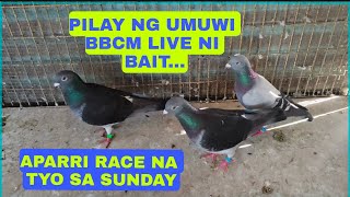 ARAY PILAY YUNG LIVE NG BBCM...LABAN LANG MUMUTING KAIBIGAN APARRI NA TYO