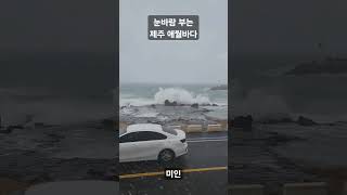 눈바람 부는 제주 애월바다. 독거한량