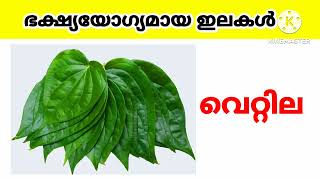 ഭക്ഷ്യയോഗ്യമായ ഇലകൾ  # leaf