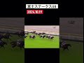 富士ステークスgⅡ 2024.10.19 ♯競馬♯ウマ娘♯東京