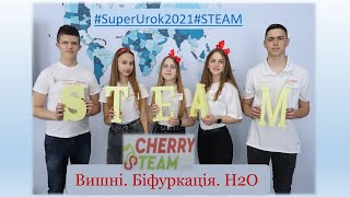 #SuperUrok2021#STEAM. Вишні. Біфуркація. Н2О