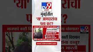 Mumbai Vidhan Sabha News | मुंबईतील 'या' आमदारांचा पत्ता कट? कोणाच्या नावांचा समावेश? | tv9 live