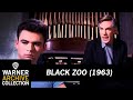 Preview Clip | Black Zoo | Warner Archive