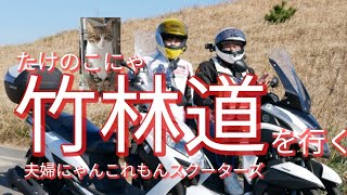 熟年夫婦ライダーが行く！竹林道suzukiスウィッシュ＆Yamahaトリシティ