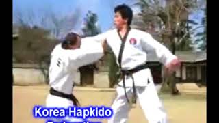 Documentary The Korea Hapkido Federation