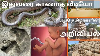 Unbelievable Facts in Tamil|இதுவரை பார்திடாத video|Leo Info | infoleo|தமிழ்