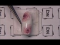 how to marble rose nail ncj nail step by step