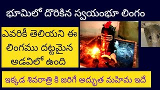 maha shivaratri 2021 ఇక్కడ శివరాత్రి కి జరిగే అద్భుత మహిమ ఇదే... భూమిలో దొరికిన స్వయంభూ లింగం