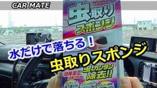 ボディの虫汚れを水だけで落とせるスポンジ  『カーメイト パープルマジック 虫取りスポンジ』紹介