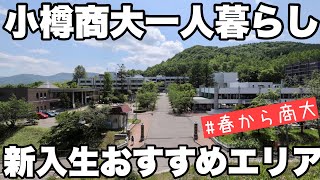 オススメ小樽市内一人暮らしエリアはどこ？小樽商大新入生向けに元小樽市民が語る【春から小樽商大】【一人暮らし】