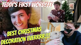 CHRISTMAS TREES, DECORATIONS HAUL & TALKING PUPPY!!! || MARK FERRIS