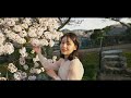 4k cinematic vlog 南大阪霊園（spring ver.）