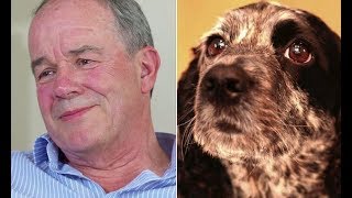 Author spends $135,000 to clone his beloved dogDaisy after she dies - Daily News